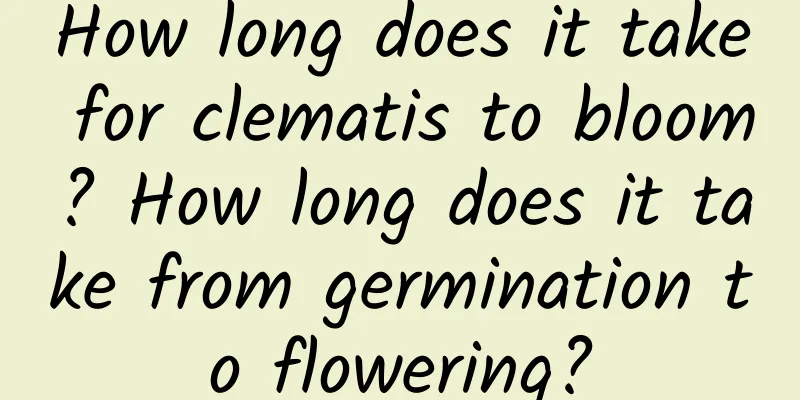 How long does it take for clematis to bloom? How long does it take from germination to flowering?