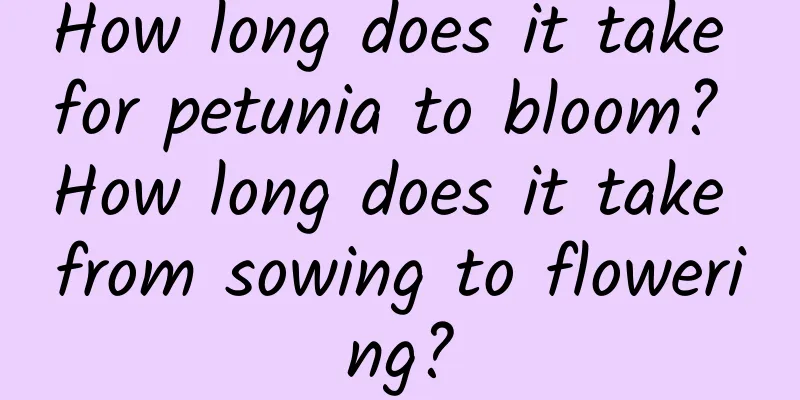 How long does it take for petunia to bloom? How long does it take from sowing to flowering?