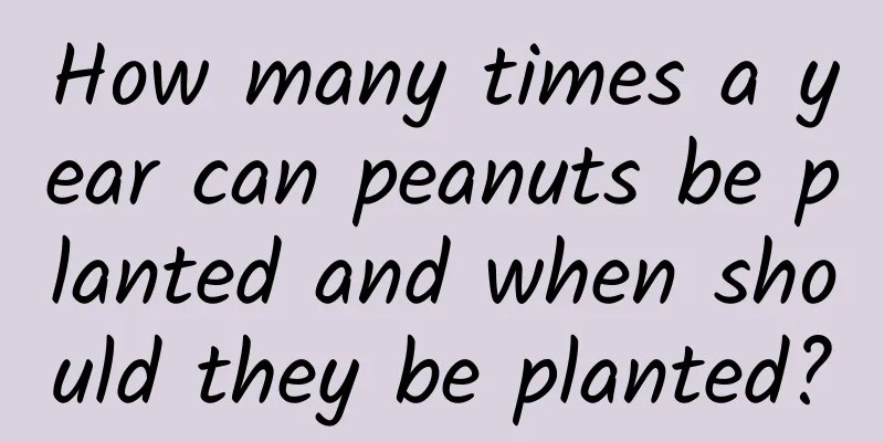 How many times a year can peanuts be planted and when should they be planted?