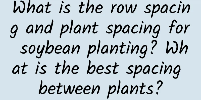 What is the row spacing and plant spacing for soybean planting? What is the best spacing between plants?
