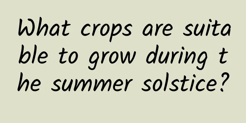 What crops are suitable to grow during the summer solstice?