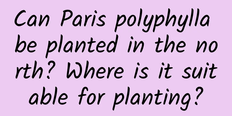 Can Paris polyphylla be planted in the north? Where is it suitable for planting?
