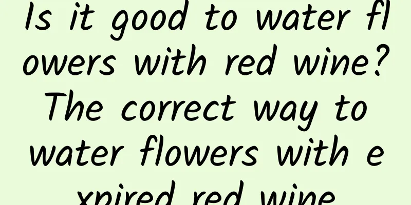 Is it good to water flowers with red wine? The correct way to water flowers with expired red wine