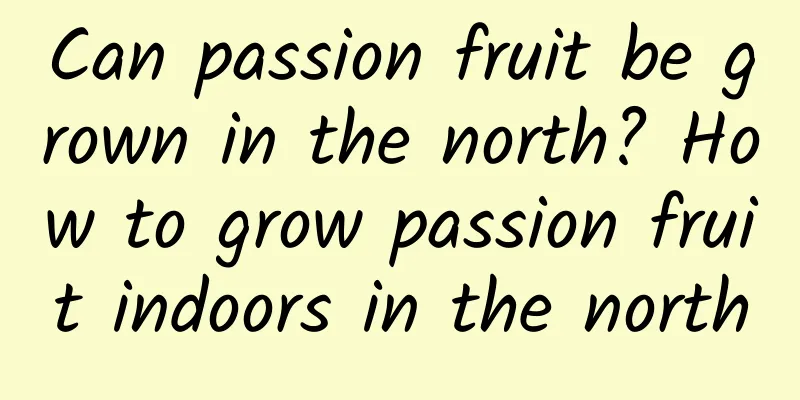 Can passion fruit be grown in the north? How to grow passion fruit indoors in the north
