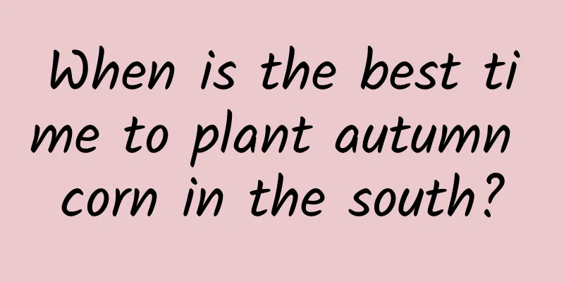 When is the best time to plant autumn corn in the south?