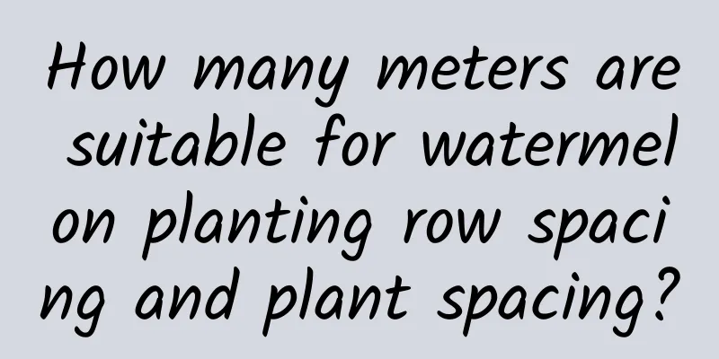 How many meters are suitable for watermelon planting row spacing and plant spacing?