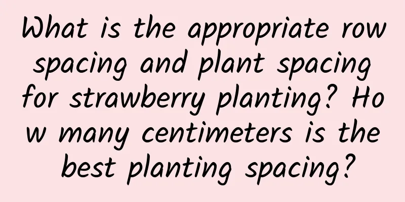 What is the appropriate row spacing and plant spacing for strawberry planting? How many centimeters is the best planting spacing?