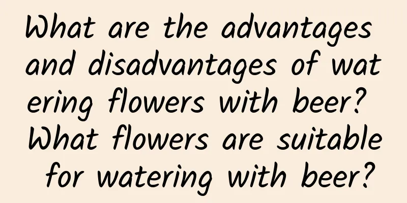 What are the advantages and disadvantages of watering flowers with beer? What flowers are suitable for watering with beer?