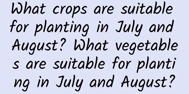 What crops are suitable for planting in July and August? What vegetables are suitable for planting in July and August?