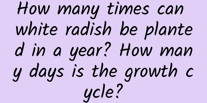 How many times can white radish be planted in a year? How many days is the growth cycle?
