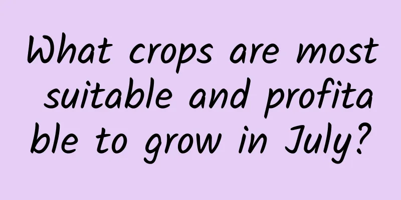 What crops are most suitable and profitable to grow in July?