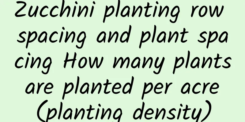 Zucchini planting row spacing and plant spacing How many plants are planted per acre (planting density)