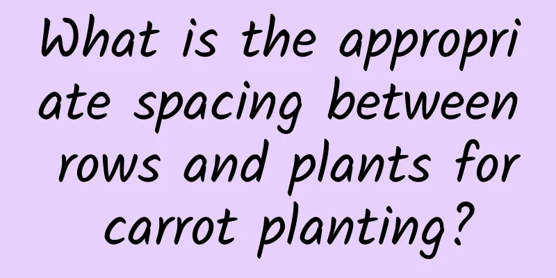 What is the appropriate spacing between rows and plants for carrot planting?