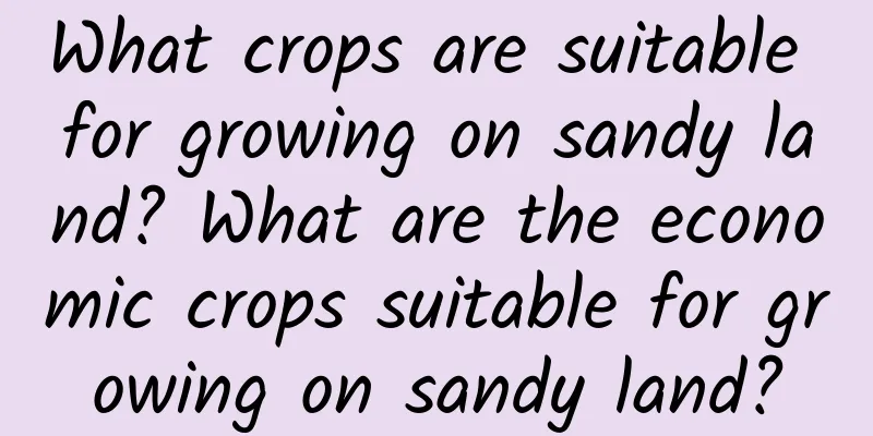 What crops are suitable for growing on sandy land? What are the economic crops suitable for growing on sandy land?