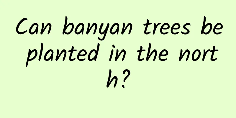 Can banyan trees be planted in the north?