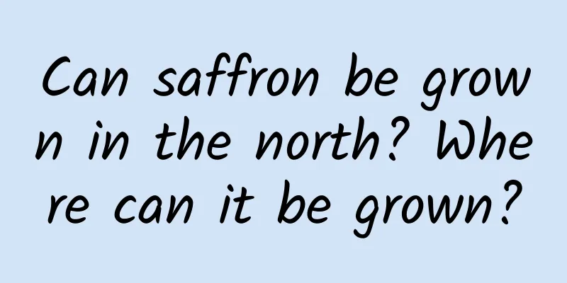 Can saffron be grown in the north? Where can it be grown?