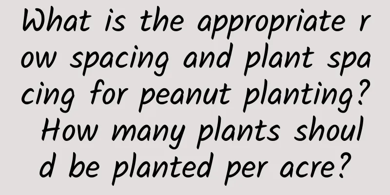 What is the appropriate row spacing and plant spacing for peanut planting? How many plants should be planted per acre?