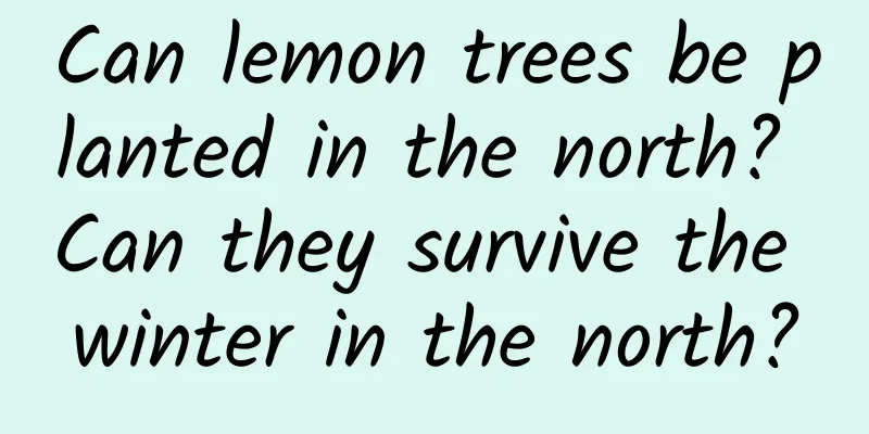 Can lemon trees be planted in the north? Can they survive the winter in the north?