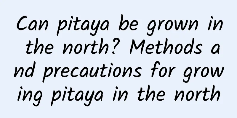 Can pitaya be grown in the north? Methods and precautions for growing pitaya in the north