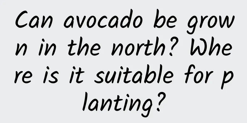 Can avocado be grown in the north? Where is it suitable for planting?