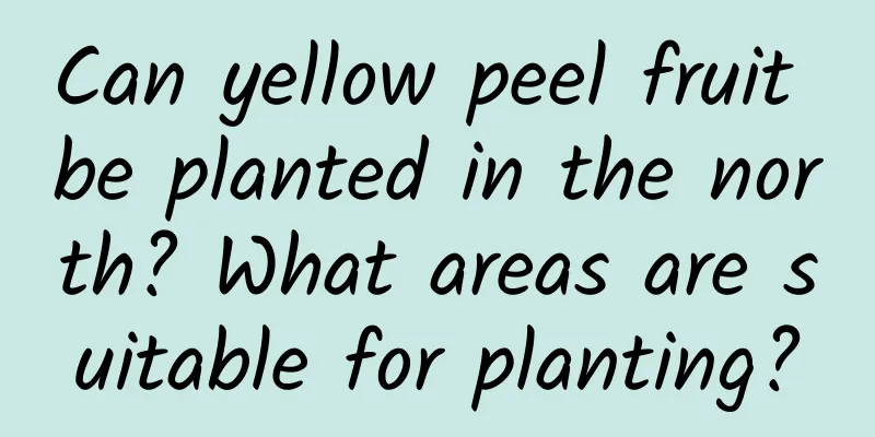 Can yellow peel fruit be planted in the north? What areas are suitable for planting?