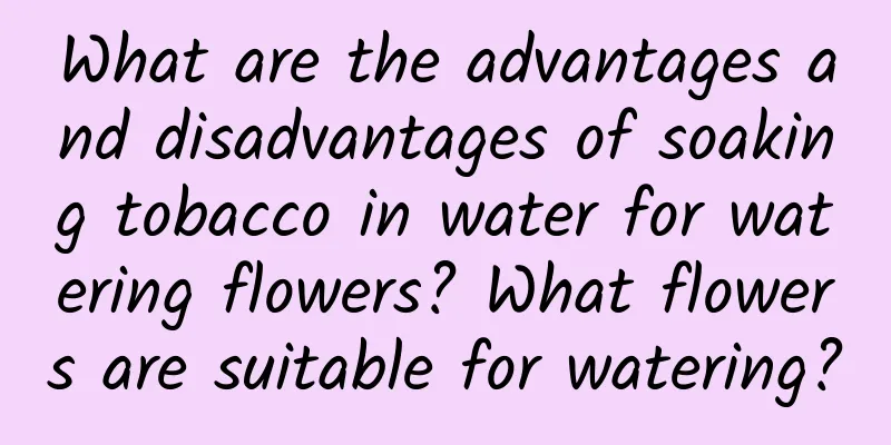 What are the advantages and disadvantages of soaking tobacco in water for watering flowers? What flowers are suitable for watering?