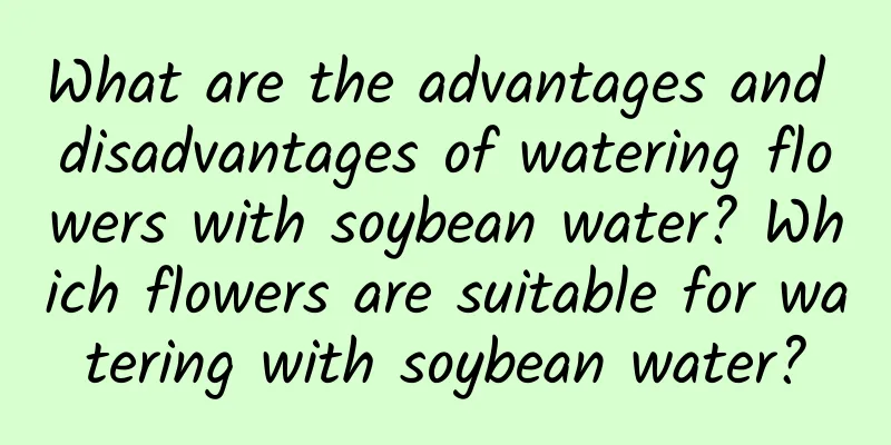 What are the advantages and disadvantages of watering flowers with soybean water? Which flowers are suitable for watering with soybean water?
