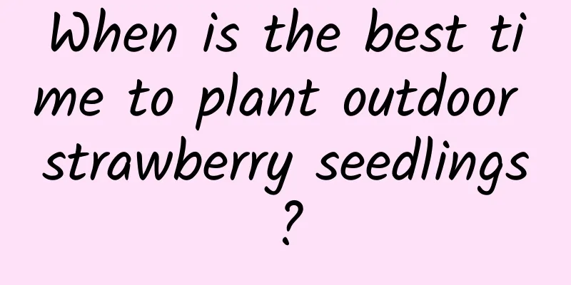 When is the best time to plant outdoor strawberry seedlings?