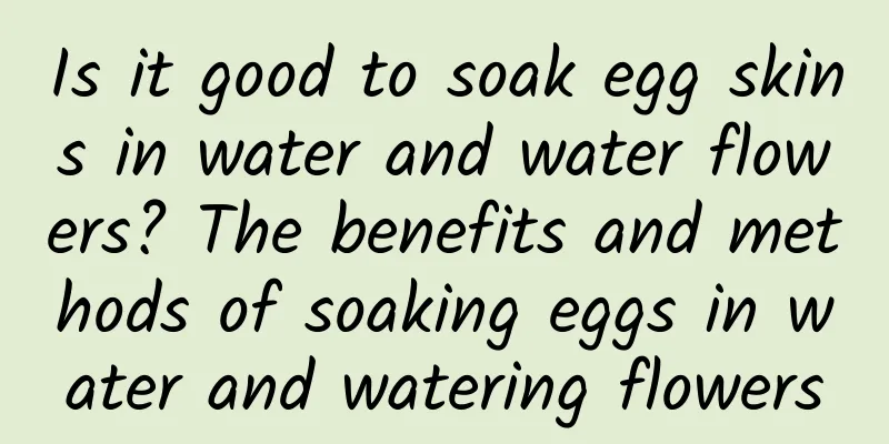 Is it good to soak egg skins in water and water flowers? The benefits and methods of soaking eggs in water and watering flowers