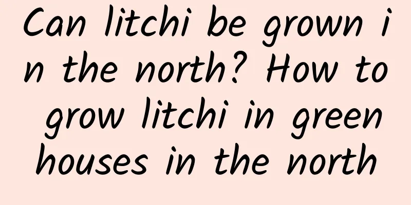 Can litchi be grown in the north? How to grow litchi in greenhouses in the north