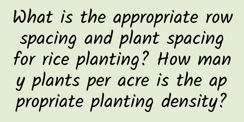 What is the appropriate row spacing and plant spacing for rice planting? How many plants per acre is the appropriate planting density?