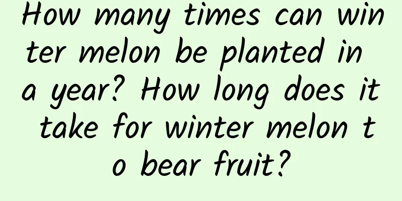 How many times can winter melon be planted in a year? How long does it take for winter melon to bear fruit?