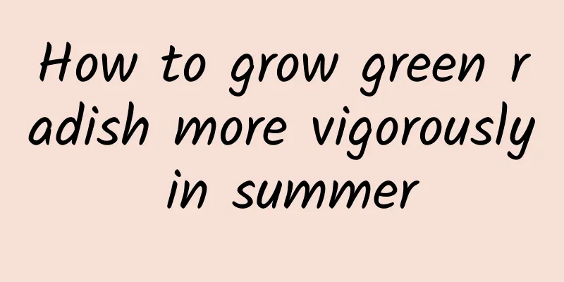 How to grow green radish more vigorously in summer