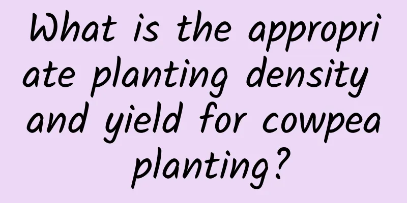 What is the appropriate planting density and yield for cowpea planting?