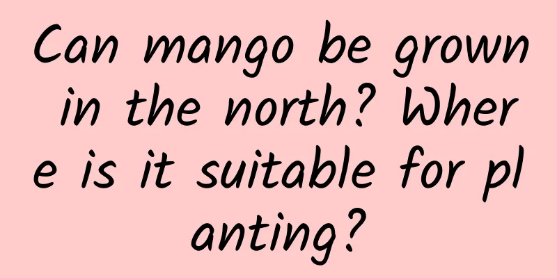 Can mango be grown in the north? Where is it suitable for planting?