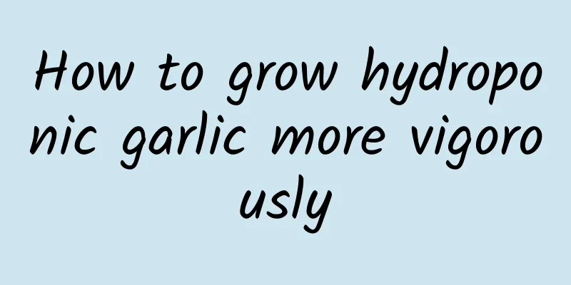How to grow hydroponic garlic more vigorously