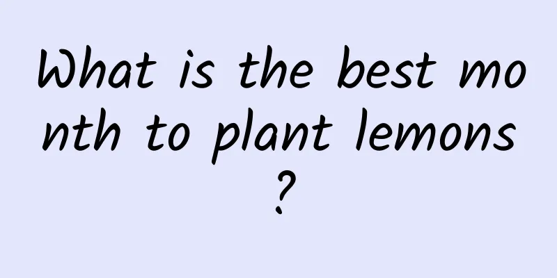 What is the best month to plant lemons?