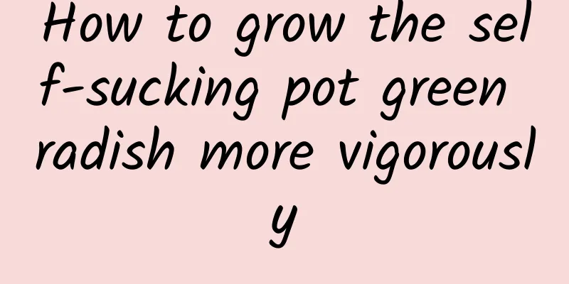 How to grow the self-sucking pot green radish more vigorously