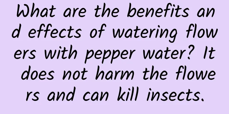 What are the benefits and effects of watering flowers with pepper water? It does not harm the flowers and can kill insects.