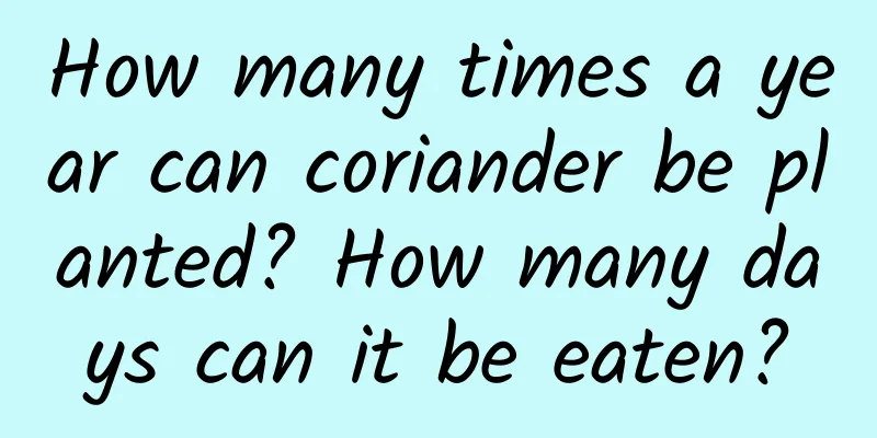 How many times a year can coriander be planted? How many days can it be eaten?