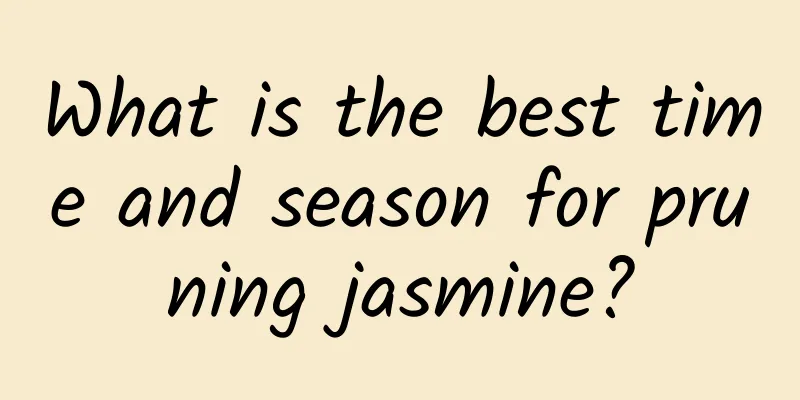 What is the best time and season for pruning jasmine?