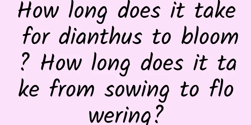 How long does it take for dianthus to bloom? How long does it take from sowing to flowering?