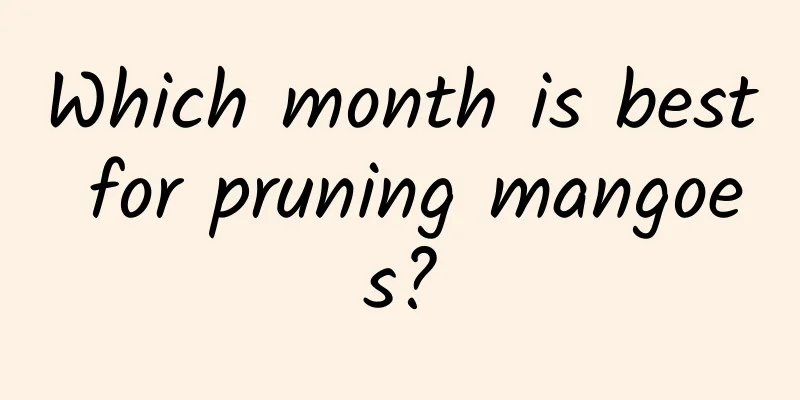 Which month is best for pruning mangoes?