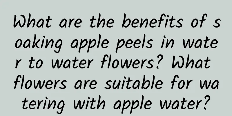 What are the benefits of soaking apple peels in water to water flowers? What flowers are suitable for watering with apple water?