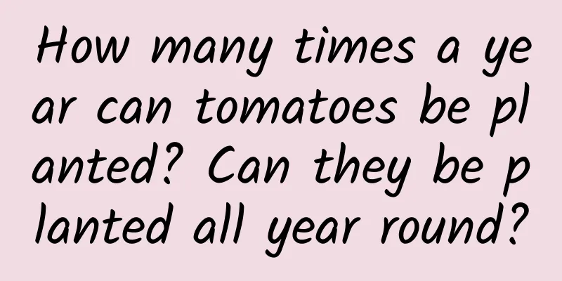 How many times a year can tomatoes be planted? Can they be planted all year round?