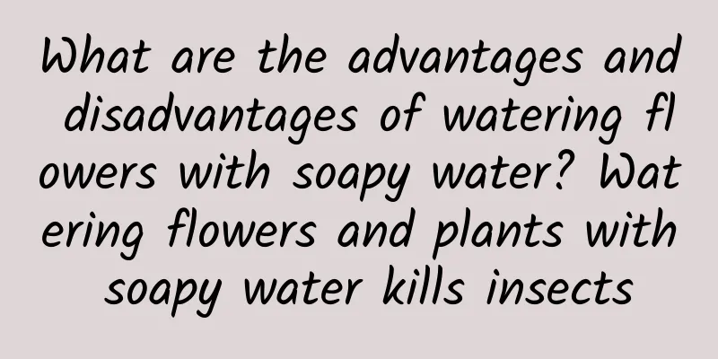 What are the advantages and disadvantages of watering flowers with soapy water? Watering flowers and plants with soapy water kills insects