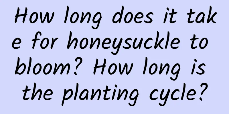 How long does it take for honeysuckle to bloom? How long is the planting cycle?