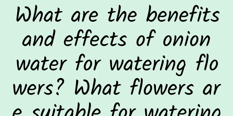 What are the benefits and effects of onion water for watering flowers? What flowers are suitable for watering