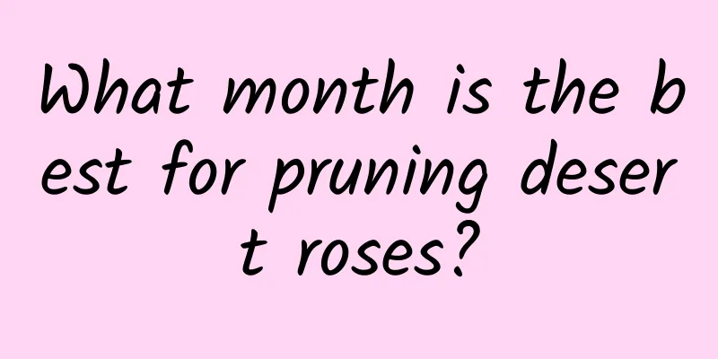 What month is the best for pruning desert roses?