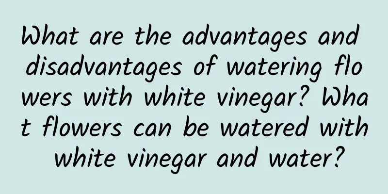 What are the advantages and disadvantages of watering flowers with white vinegar? What flowers can be watered with white vinegar and water?